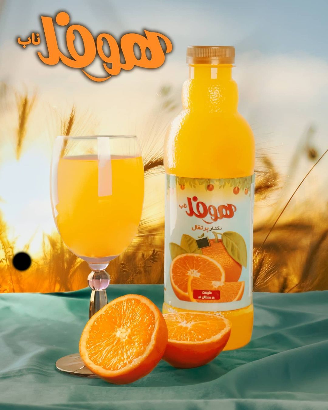 16587.jpg